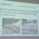 감성가득 라탄공예 | “우리의 주말, 감성을 엮다 – 딸과 함께한 마크라메&amp;라탄공예 수업”