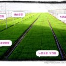 거문농장 이미지