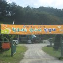 이원목장 Daum카페