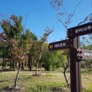 위천수변 테마공원 이미지