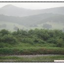 국태농장 이미지