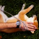 김포씨엘동물의료센터 이미지