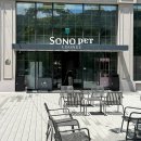 미달독 | 소노펫 뿌시기 (패밀리룸 파크뷰, 띵킹독, 펫 베이킹 클래스, 플레이그라운드)