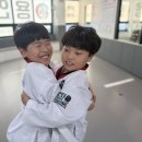 용인대 드림 태권도장 이미지