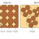 팜가이아 이미지