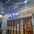 하누둥이 네이버블로그