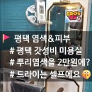피부미용실 | [내돈내산] 평택 뿌리 염색이 2만원? 가성비 미용실 '염색&피부' 솔직후기💇‍♀️