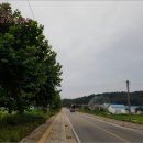 송해면-1 이미지