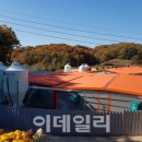 노른터농장 이데일리