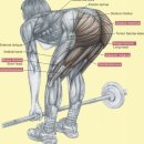 포텐셜 플레이스 이미지