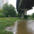 사천교 버스정류장 이미지