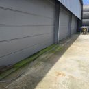 김포 자연 농장 이미지