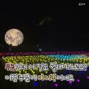 판타지아웨딩컨벤션 | 무료인데 이 정도 퀄리티라고요? 이번 주말이 마지막이에요