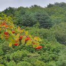 진배농장 이미지