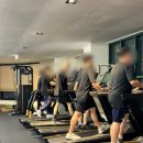 아나토미 스트랭스 이미지