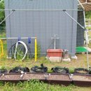 보석골농장 이미지