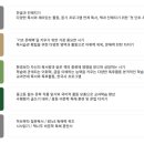 책나무분당이매독서논술학원