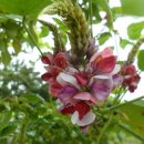 토산1리 이미지