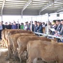 정남진 축산 이미지