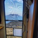 고고하개 이미지