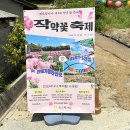 작약꽃펜션 | 진도 ‘비밀의 꽃밭’에서 만난 3만 송이 작약의 유혹! 이 순간을 놓치지 마세요