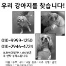 간석3동-14 이미지