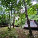 삼봉야영장 이미지