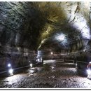 제주의휴일 이미지