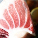 다다참치 이미지