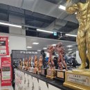 짐플러스 이미지