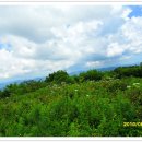 우암산등산로2 이미지