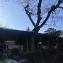 약수촌 | 남양주 진접 오리고기 맛집 약수촌 후기