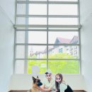 그루댕댕 이미지