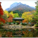 제956차(10월24일) 전북 정읍 백암산(741m) 이미지