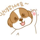 세이브 동물병원 이미지