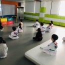 엘리트 태권도 이미지