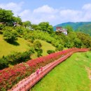 “장미가 끝이 아니었다”… 1.2km 걷다 보면 놀라운 풍경이 펼쳐져요 이미지