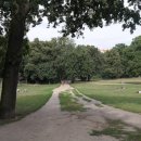 하센호텔 이미지