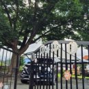 느티나무펜션 이미지