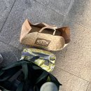 호두나무 펜션 이미지