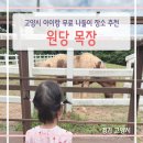 원흥목장 | 원당목장 아이와 가볼만한 무료 피크닉 명소 준비물까지!