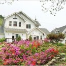 레몬펜션