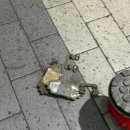 갈마점 기아오토큐 이미지