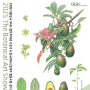 보태니컬아트 이미지