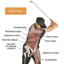 FITNESS인(골프) 이미지