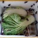 택양농장 이미지