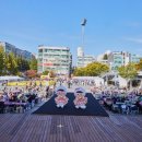 댕댕하개 이미지