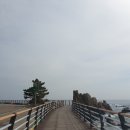 강원도 고성 거진항 백섬 경관 해상데크 전망대 거진 해맞이 산림욕장 산책