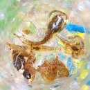 데미샘호수펜션 이미지