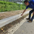 군도5호 이미지